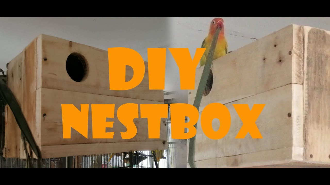 DIY NESTBOX