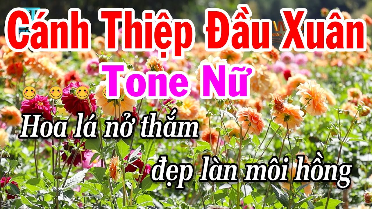 Karaoke Cánh Thiệp Đầu Xuân Tone Nữ Beat Hay Nhạc Dễ Hát Tuấn Cò