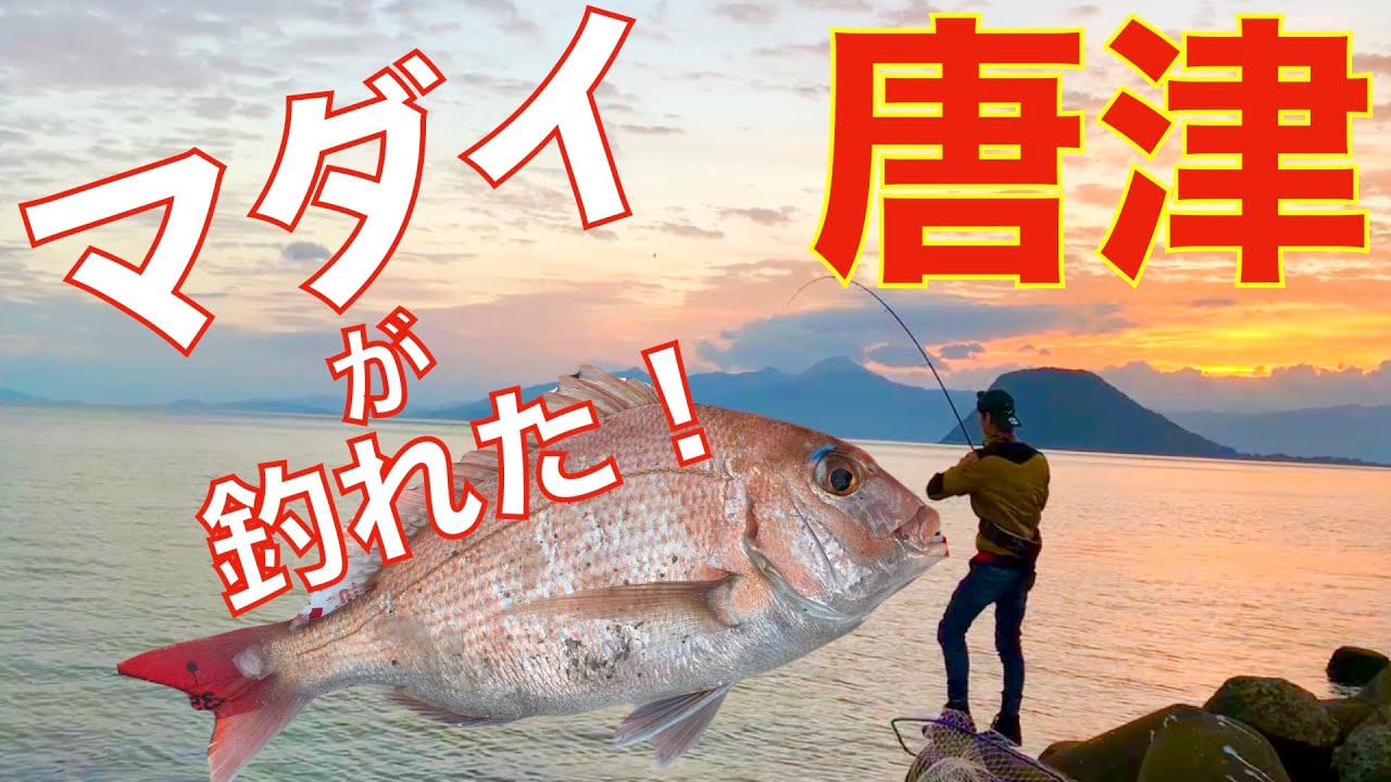 【ショアジギング】唐津の堤防で真鯛が釣れた！