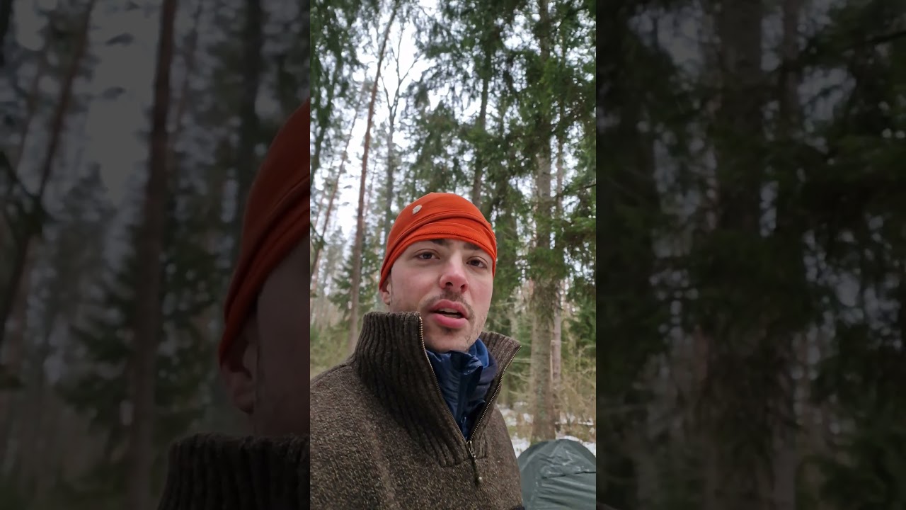 Po &scaron;altos nakties mi&scaron;ke #mi&scaron;kas #rytas #žiema