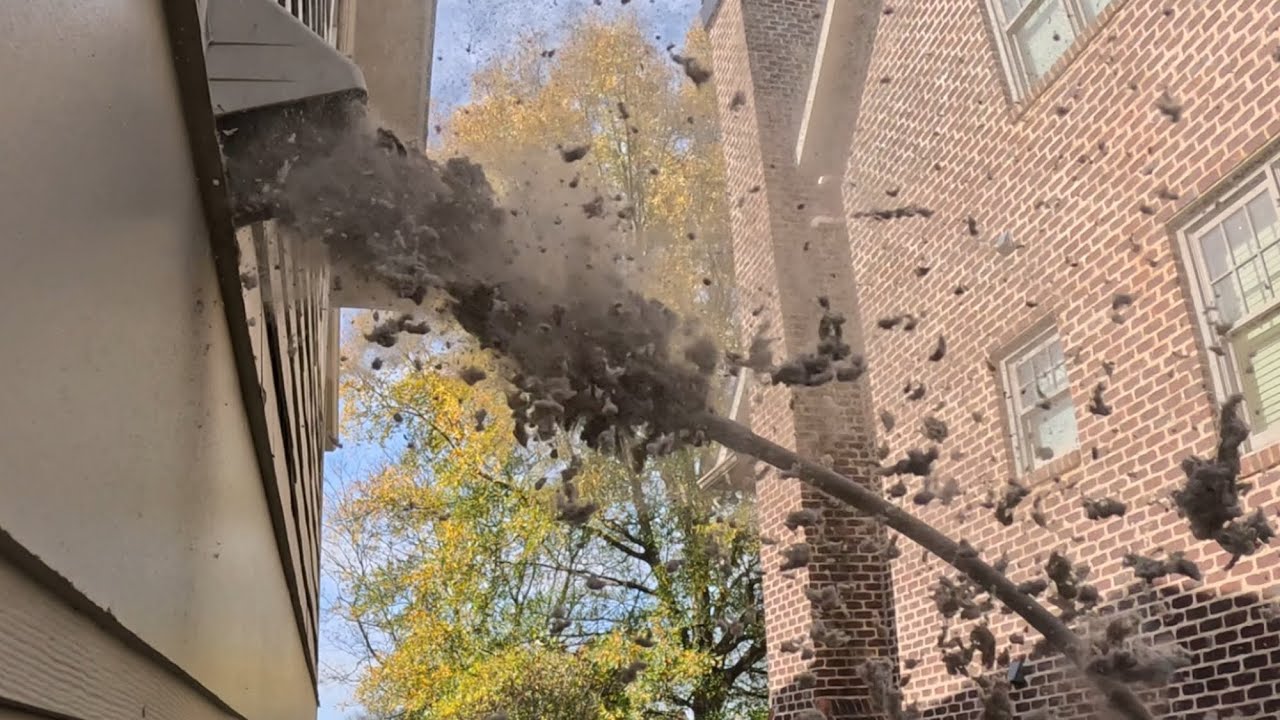 Вы когда-нибудь видели, как взрывается вентиляционное отверстие сушилки? Я тоже так видел!! ЧИСТК...