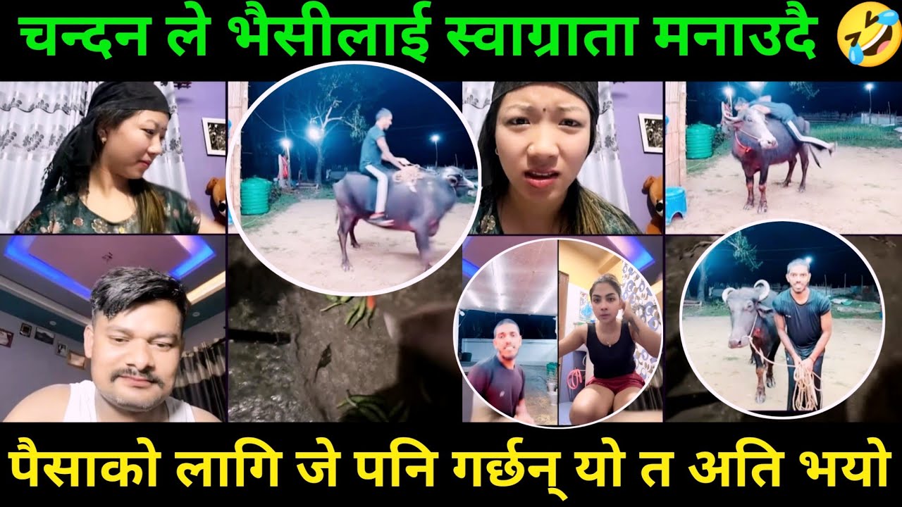 चन्दन भैंसी माथि चडे ग्याम हारे पछि | Rooben Khadka Comedy