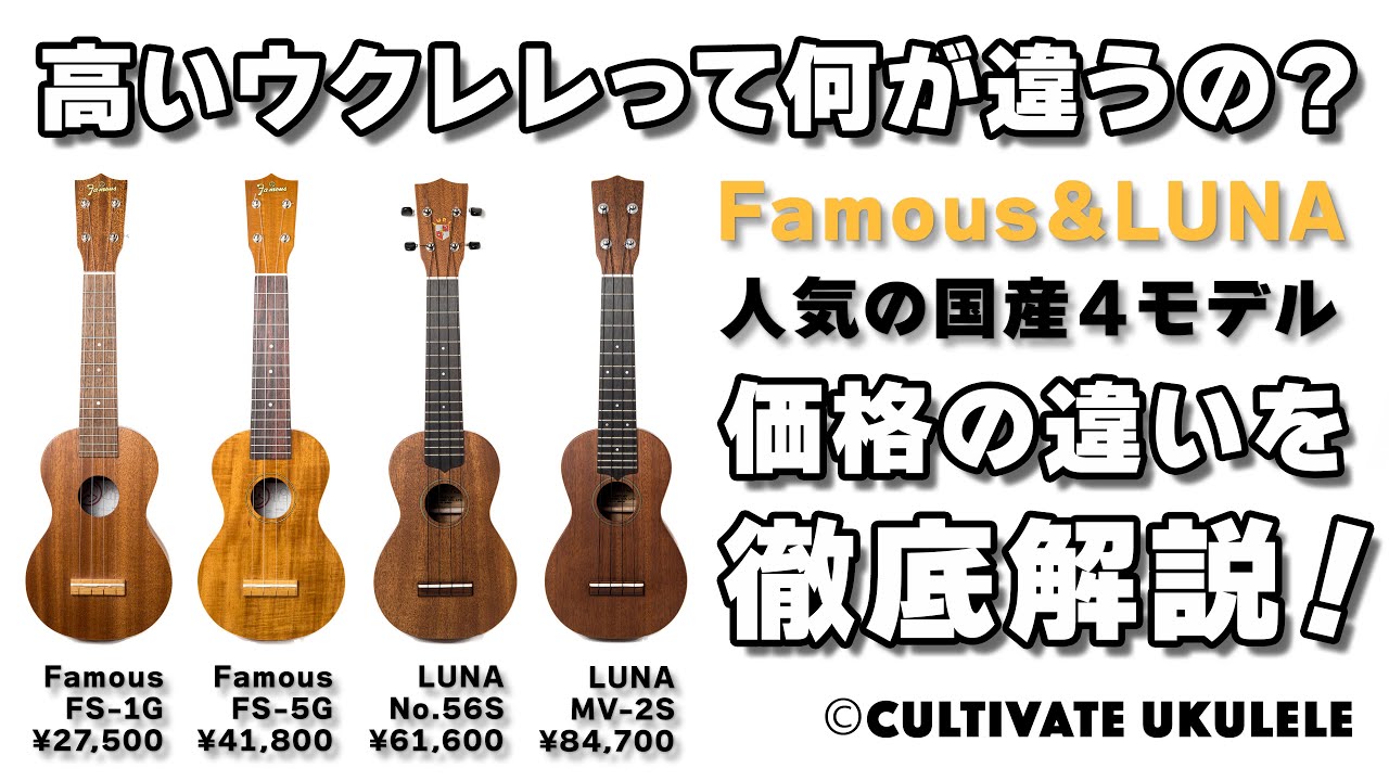 高いウクレレって何が違うの？Famous・LUNA・人気の国産4モデルで価格の違いを徹底解説！