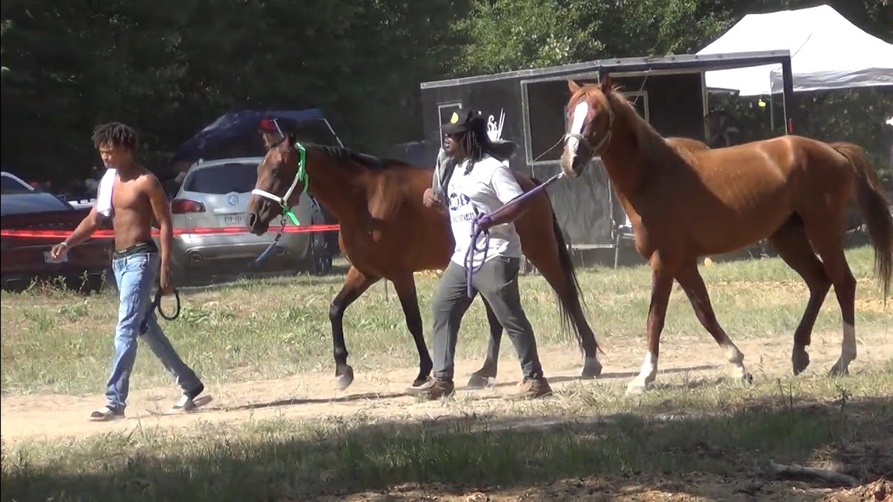 Atlanta Texas Trail Riders at Hooks Trail Ride