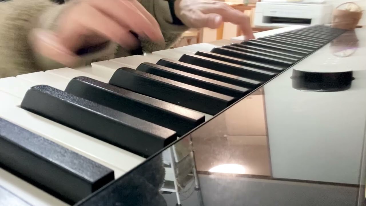 チャコの海岸物語CASIO pxs3100でひいてみた