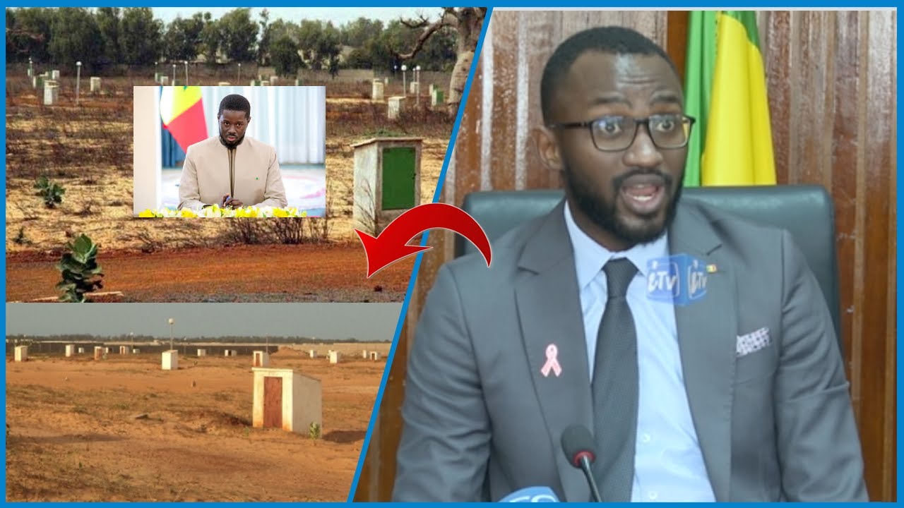 TF 1107/R, TF 1451R : LES RÉVELATIONS DE BASSIROU KEBE DG SN HLM