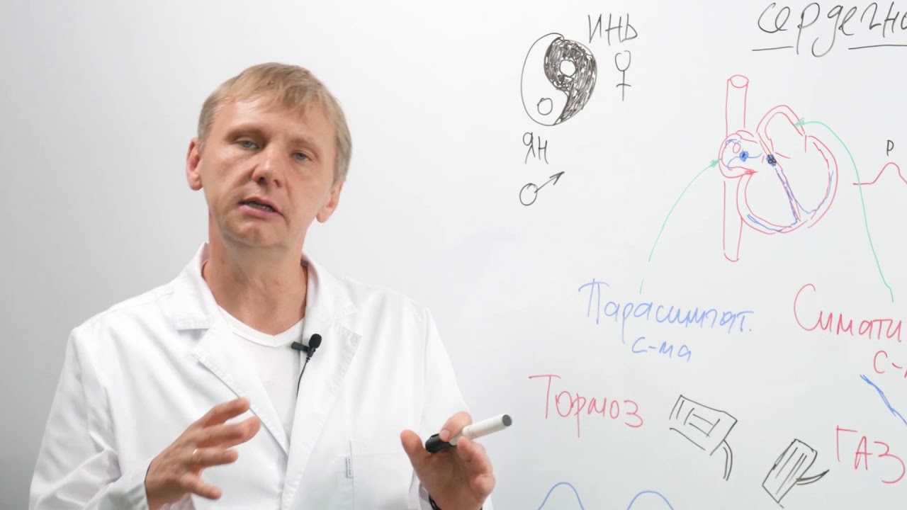 Actenzo  Что такое Вариабельность сердечного ритма