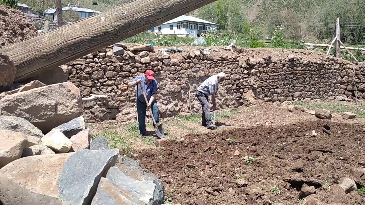 Varto