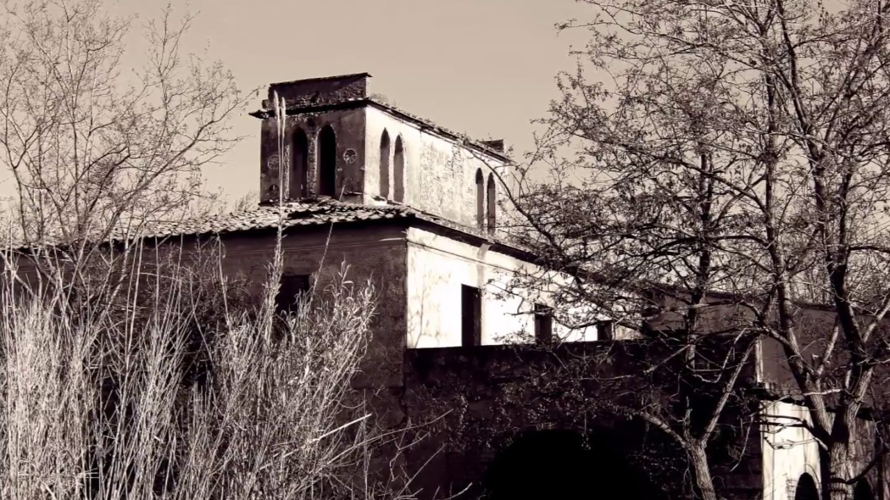 more - riz ortolani