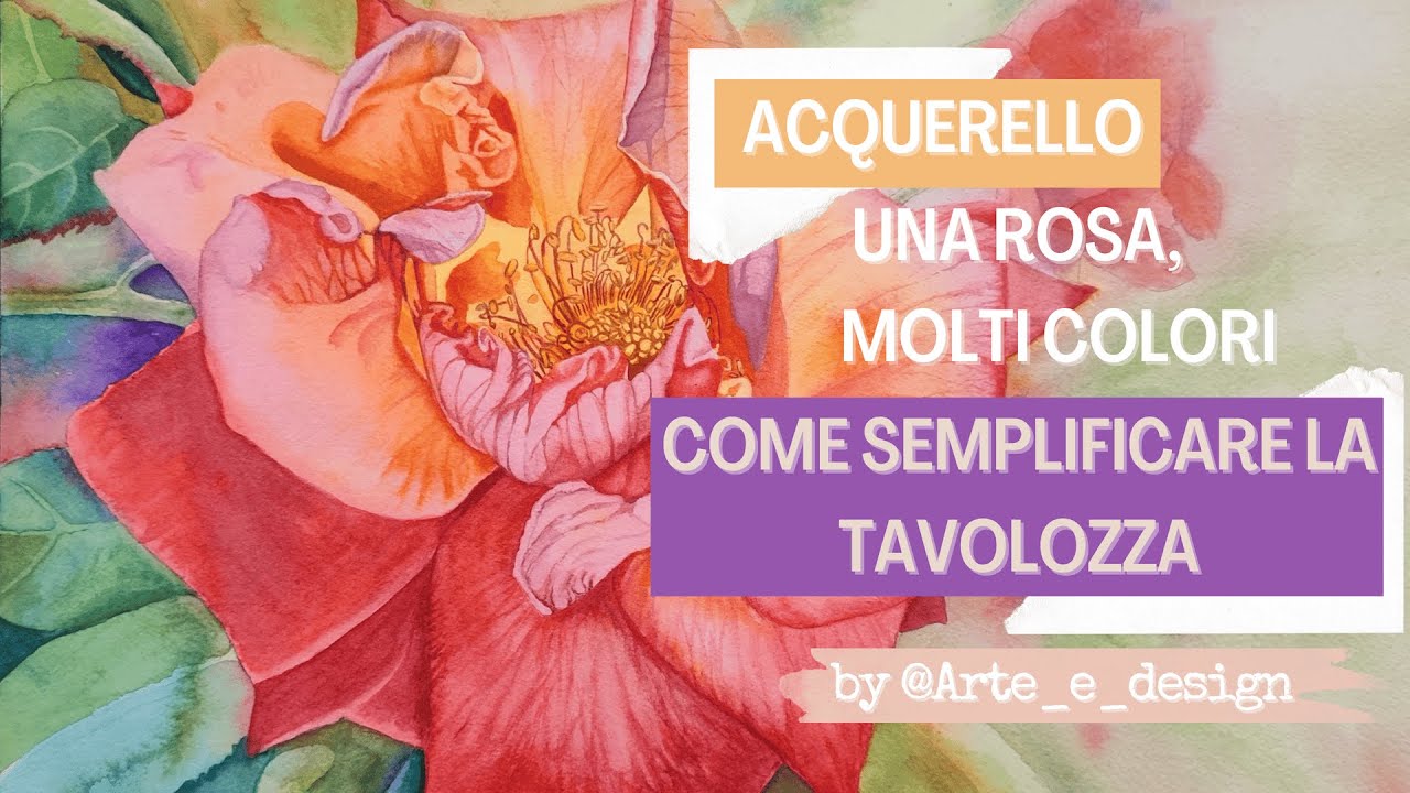 Rosa all'acquerello: come semplificare la tavolozza