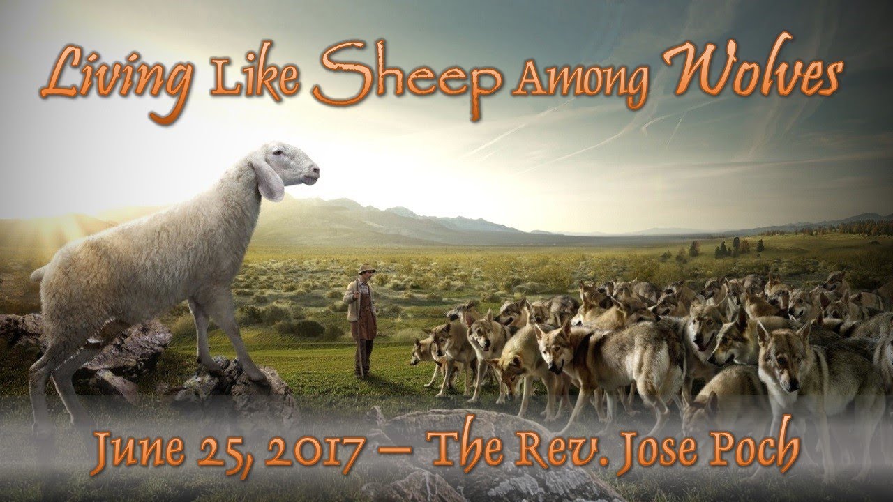 06/25/17 - Living Like Sheep Among Wolves