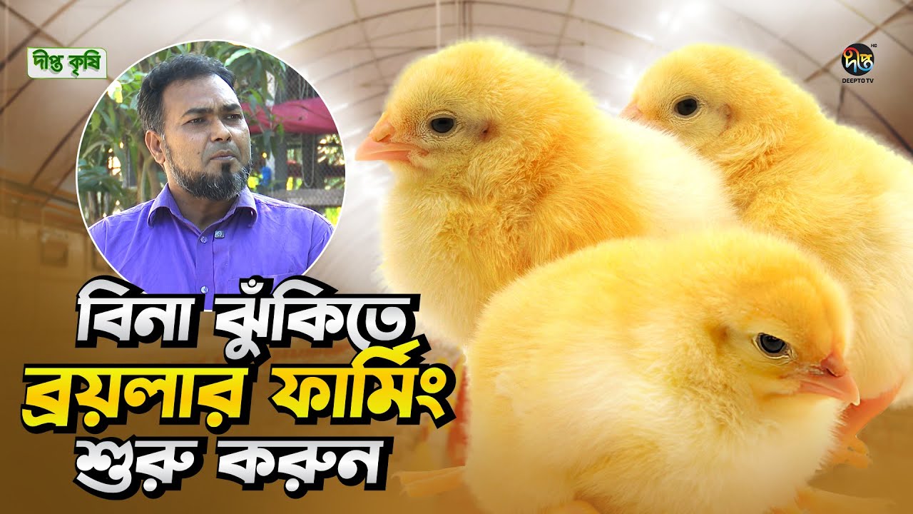 Deepto Krishi l কন্ট্রাক্ট ব্রয়লার ফার্মিং: নতুন উদ্যোক্তাদের জন্য সেরা বিজনেস আইডিয়াl CBF lEP1768