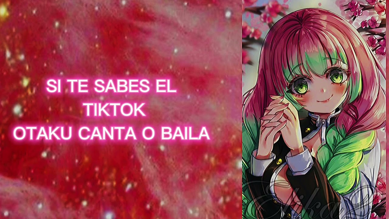 Si te sabes el TIKTOK otaku canta o baila