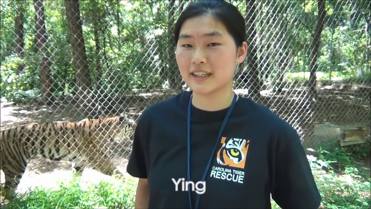 Carolina Tiger Rescue interns on why they chose the rescue