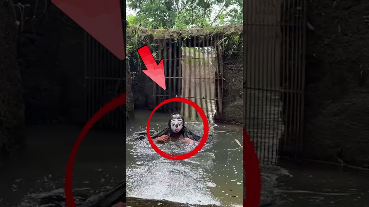 Мы сняли ВОДНОГО МОНСТРА на водохранилище 😳