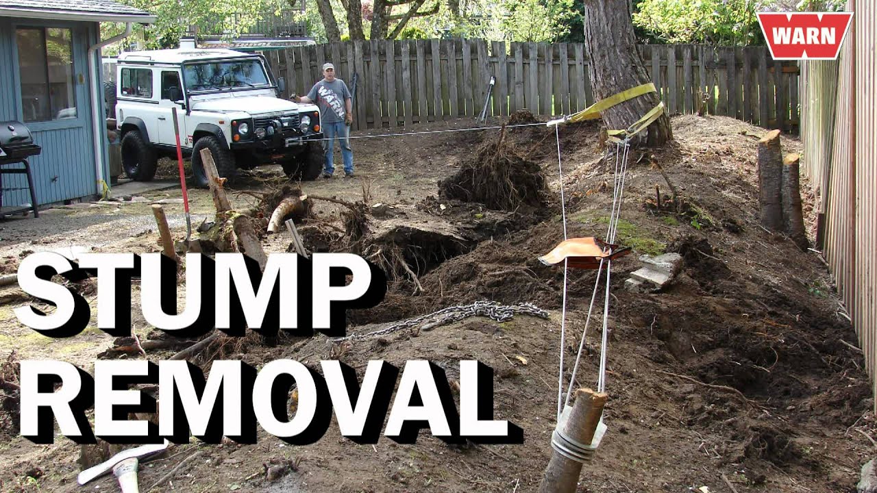 Quadruple-line stump pull with Land Rover Defender and WARN M8274-50 winch