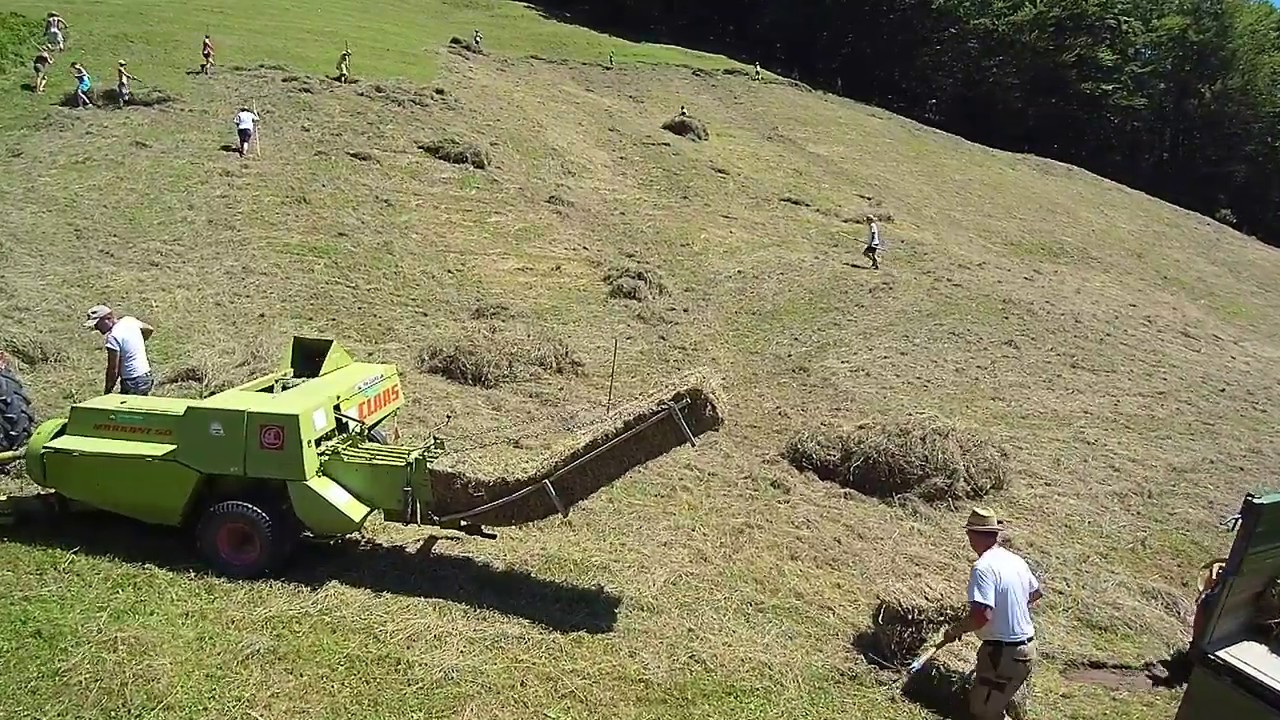 Abheuen der Jagerh&auml;uslwiese im Bodinggraben