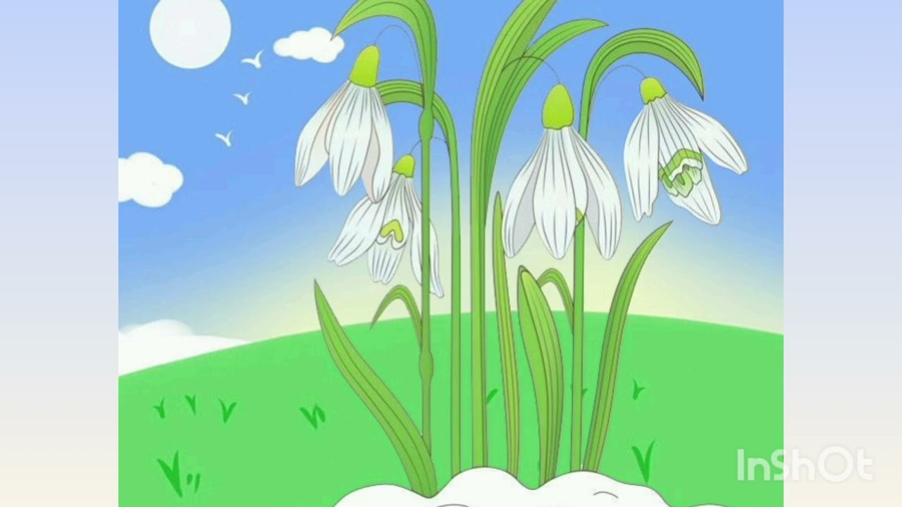 Ранній вік. Природа. 