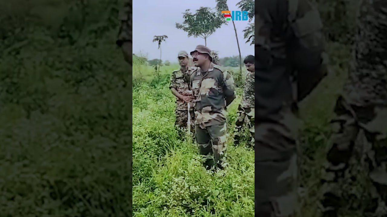 Попытка BSF выдворить людей в Лалмонирхате провалилась! Индия отступила под жестким давлением BGB...