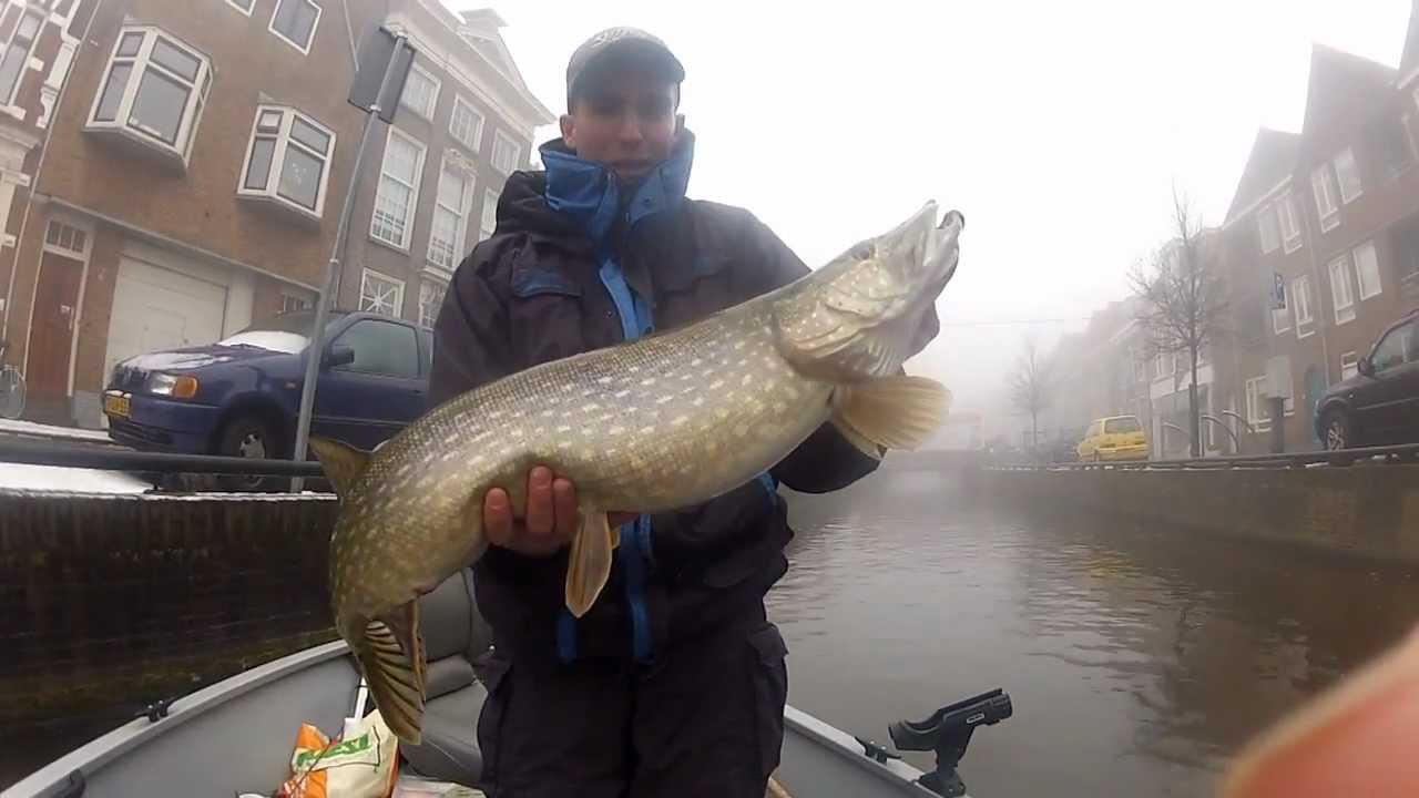 snoeken vangen in Friesland. winter. visgids Sybe uit Friesland