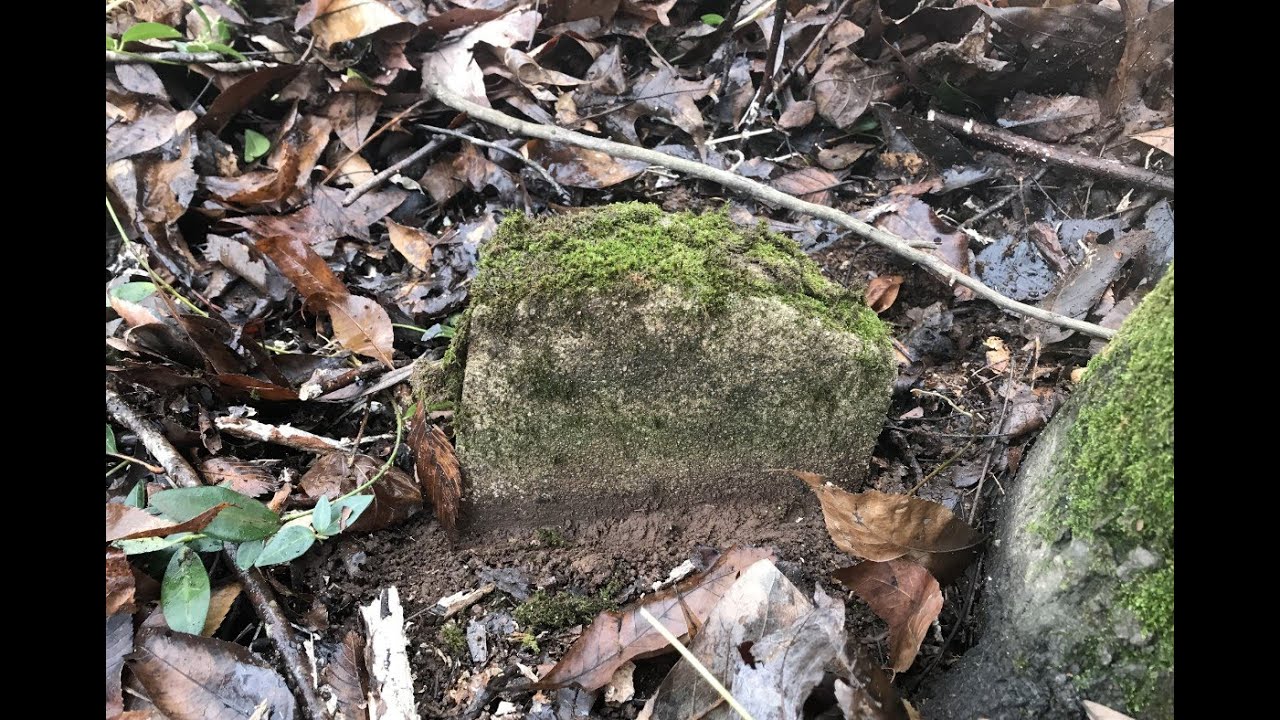 I Find A Toppled Headstone In The Abandoned Cemetery! Exploring History in Alabama!