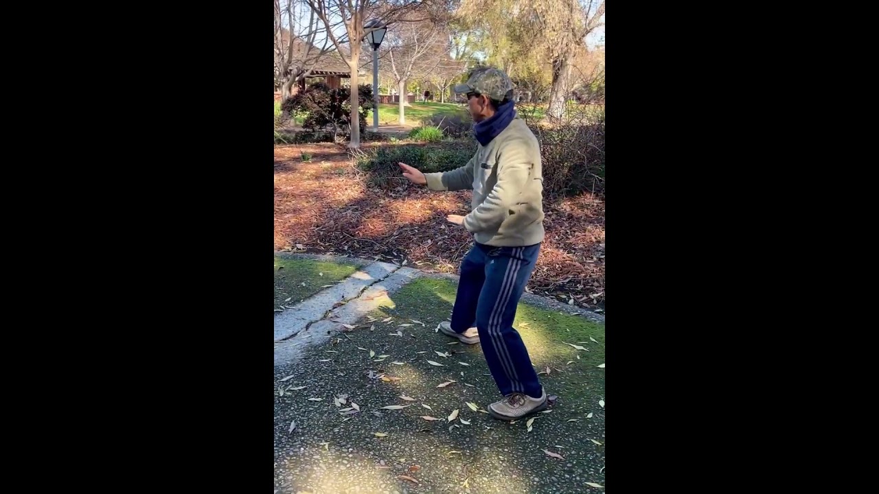 Eight Methods and Five Steps routine 八法五步功法