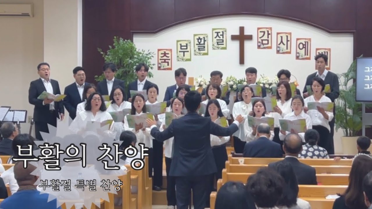부활의 찬양 (조혜영) l 부활절 특별 찬양 l 애굽한인교회