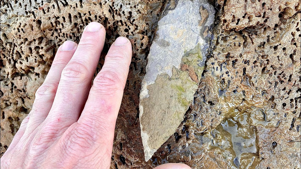 Dover cache part 3: The rare dover sword! (Duck river blade)