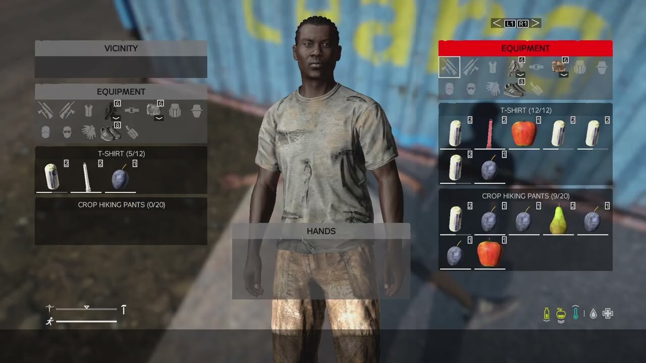 DayZ