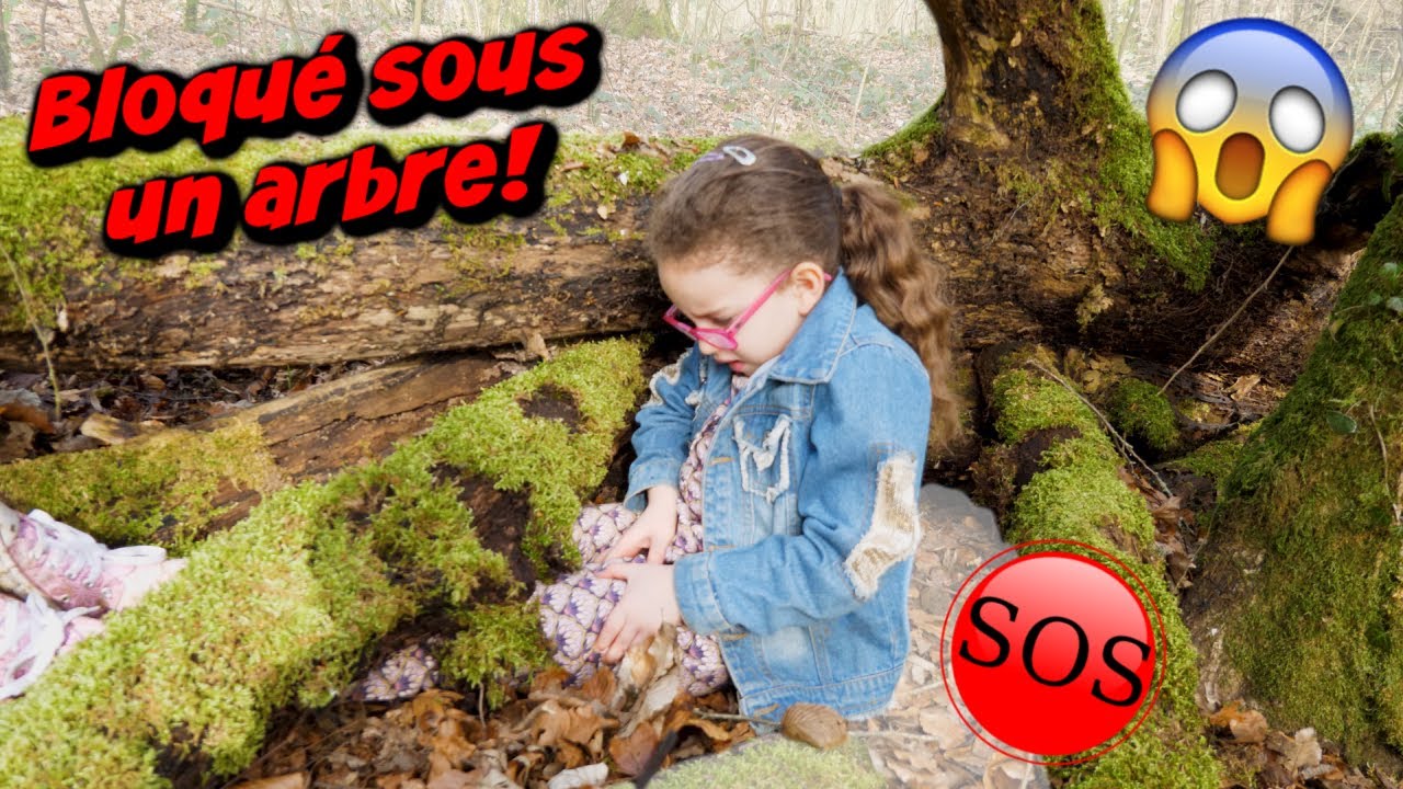 Un ARBRE tombe sur MASSILYA! Elle est bloqu&eacute;!