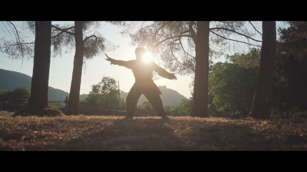 Shaolin Rou Quan