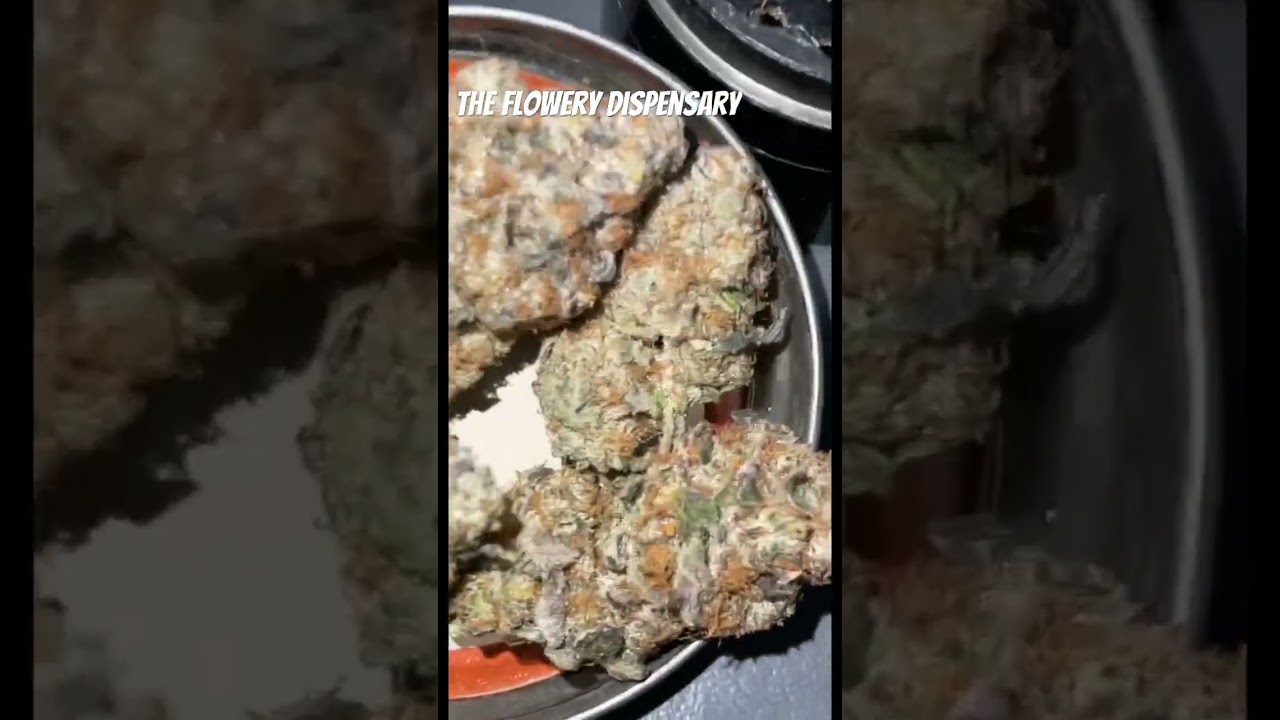 The flowery Dispensary Review #420 #710 #weedchannel #bud #jungleboys #theflowery #dispensary