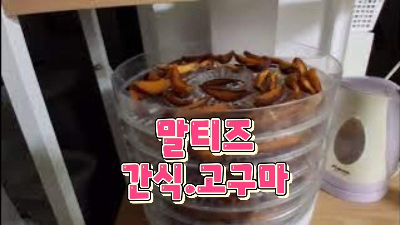말티즈간식 고구마건조기
