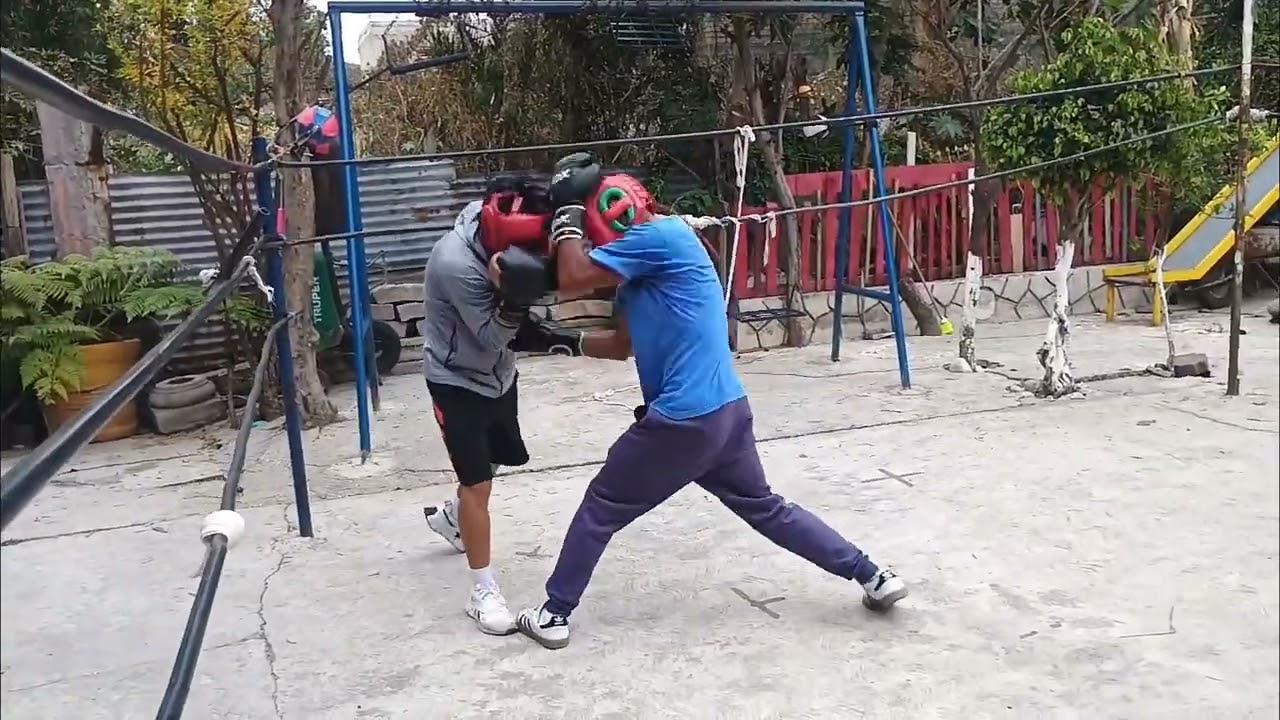 Rabit vs sus chavos