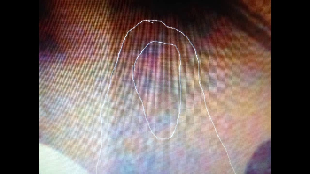 GHOST CAUGHT ON VIDEO! HAUNTED PIZZA HUT NY  MUST WATCH!