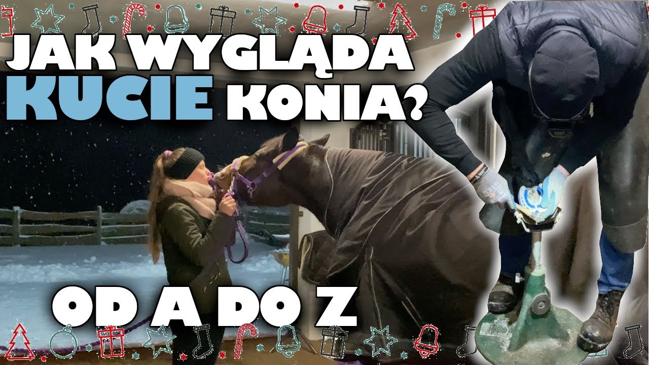 JAK WYGLĄDA KUCIE KONIA? | OD A DO Z! | VLOGMAS 14