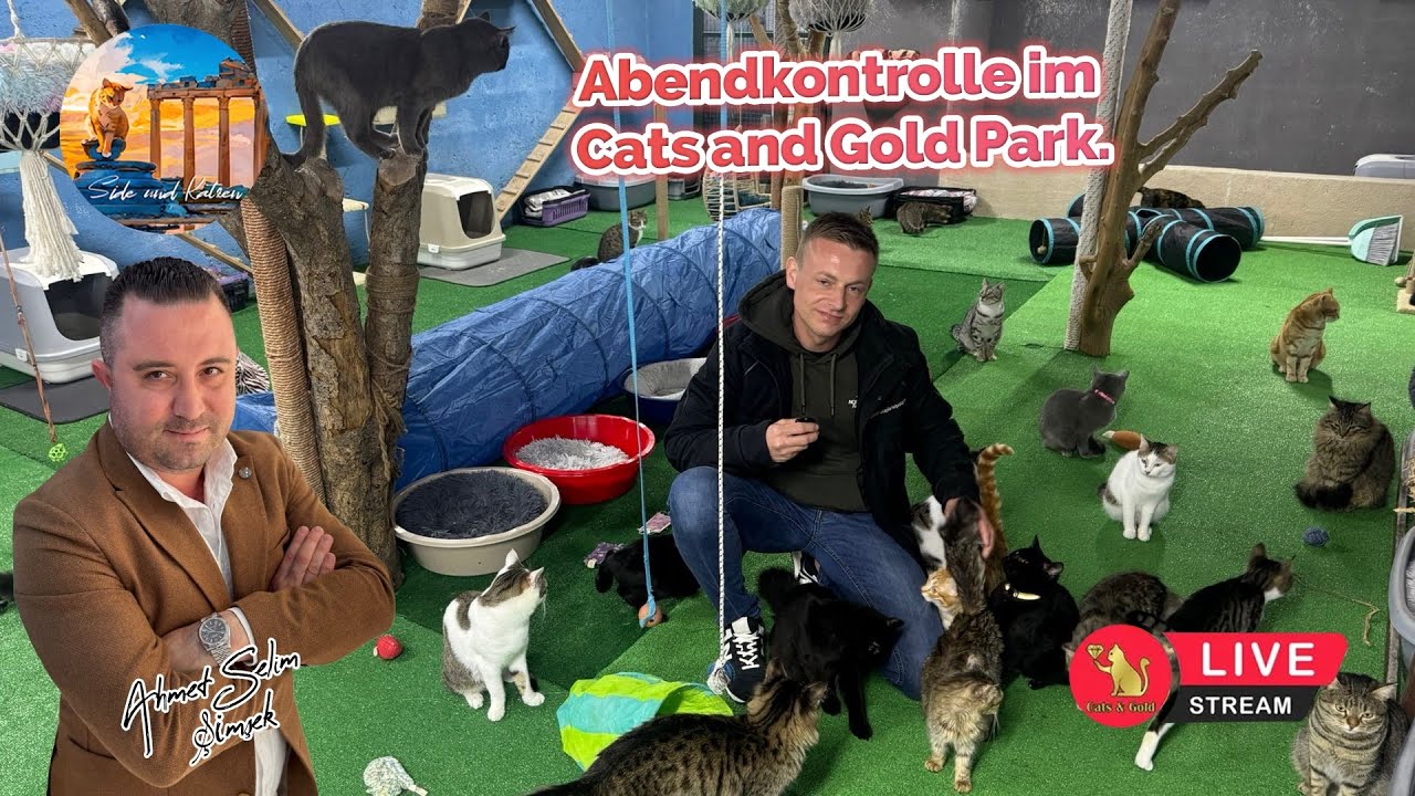Abendkontrolle im Cats and Gold Park.