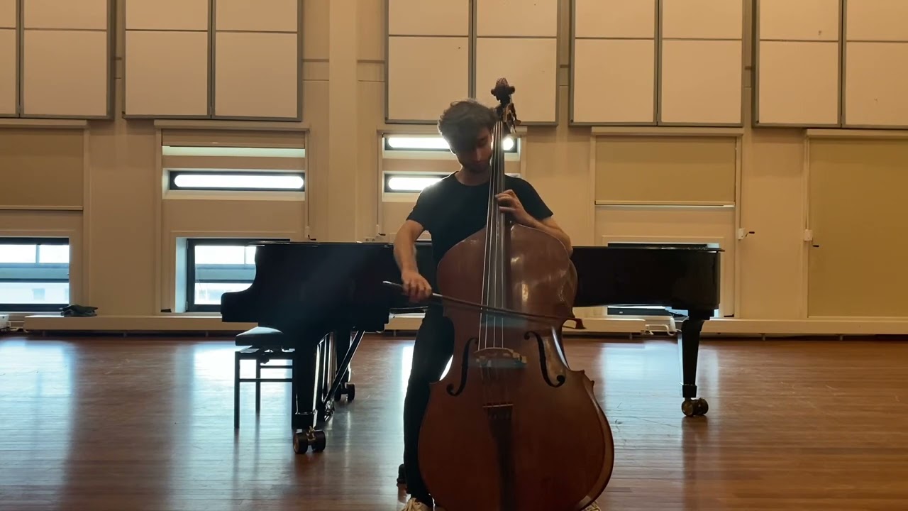 J.S.Bach - Partita for Flute in A minor BWV 1013 - Arranged for Double Bass