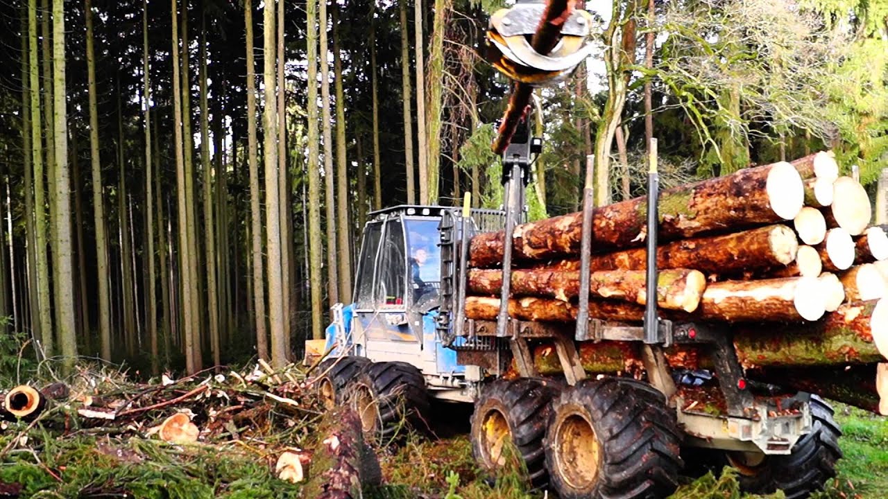 Forstbetrieb Weismann - F15 D im Einsatz