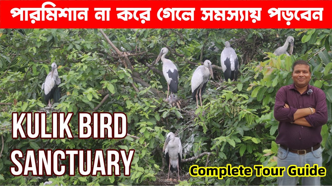 Kulik Bird Sanctuary Complete Tour Guide : Dinantey Tourist Lodge : WBTDCL : Raiganj