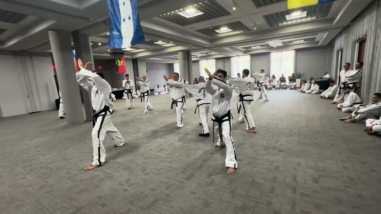 Пошаговая инструкция So San tul в ITF IIC в Пуэрто-Рико #taekwondo #itfpatterns #itf