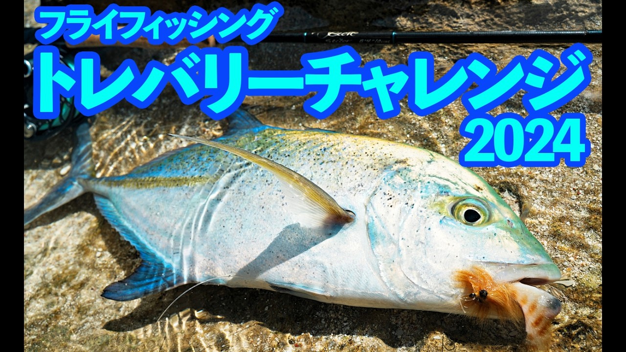 フライフィッシングでカスミアジ #釣り #南の島 #ソルトフライ