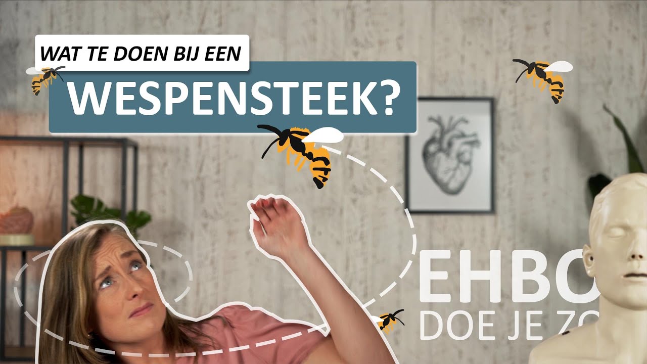 Wat te doen bij een wespensteek? 🐝 | EHBO doe je zo - Rode Kruis