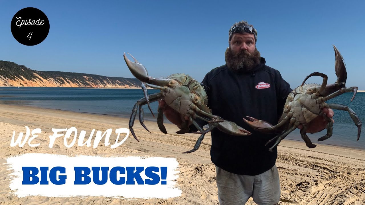 We found Big Bucks!