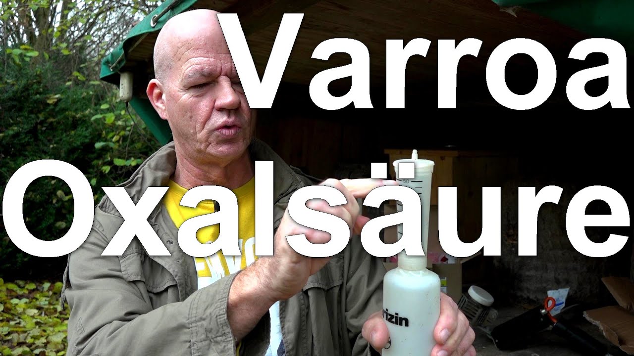Varroa: Oxalsäure Restentmilbung der Bienen, aber wie? Oxalsäure-Dihydrat Lösung Serumwerk Bernburg