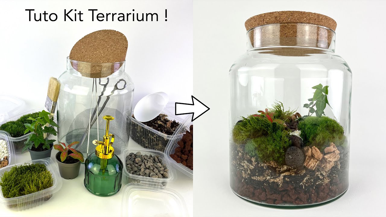 ✂️ Tuto Kit Terrarium Alpha par DT-RARIUM ! 🌿