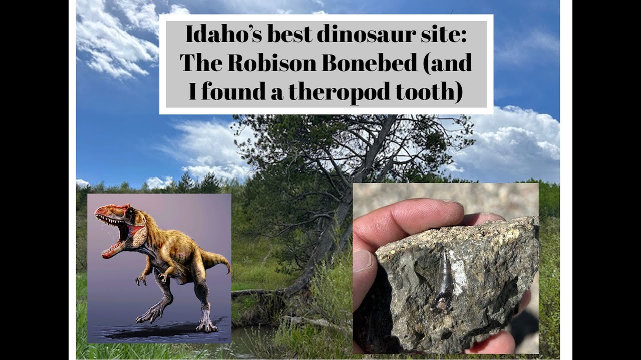 Idaho's Best Dinosaur Site: The Robison Bonebed