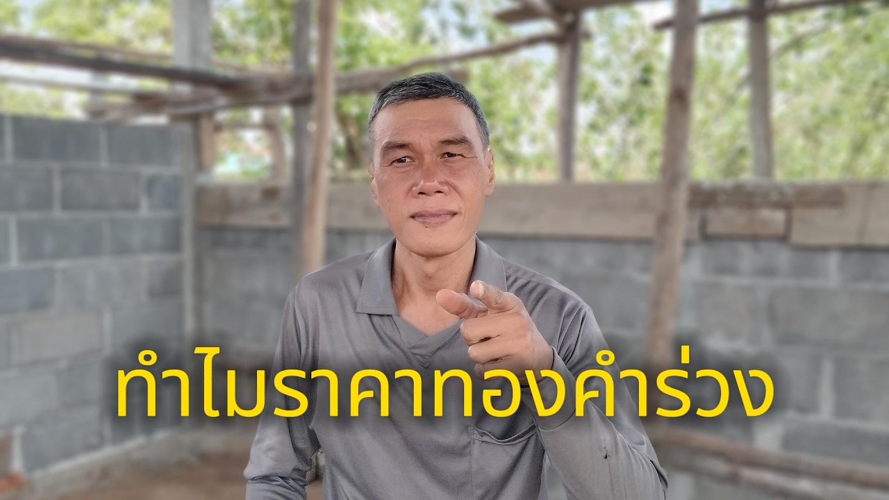 ทำไมราคาทองคำร่วง #manasrichan #โคกหนองนา #ทองคำ #ราคาทองคำ #ลงทุน #เศรษฐกิจ #สร้างอนาคต #forex