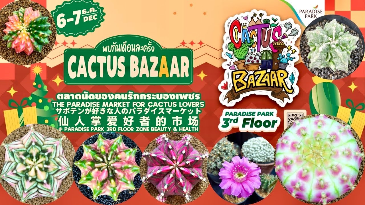 Tour Cactus Fair : 🌵✨Cactus Bazaar 6-7 Dec 2025 @ Paradise Park | a lot of beautiful cacti for sale