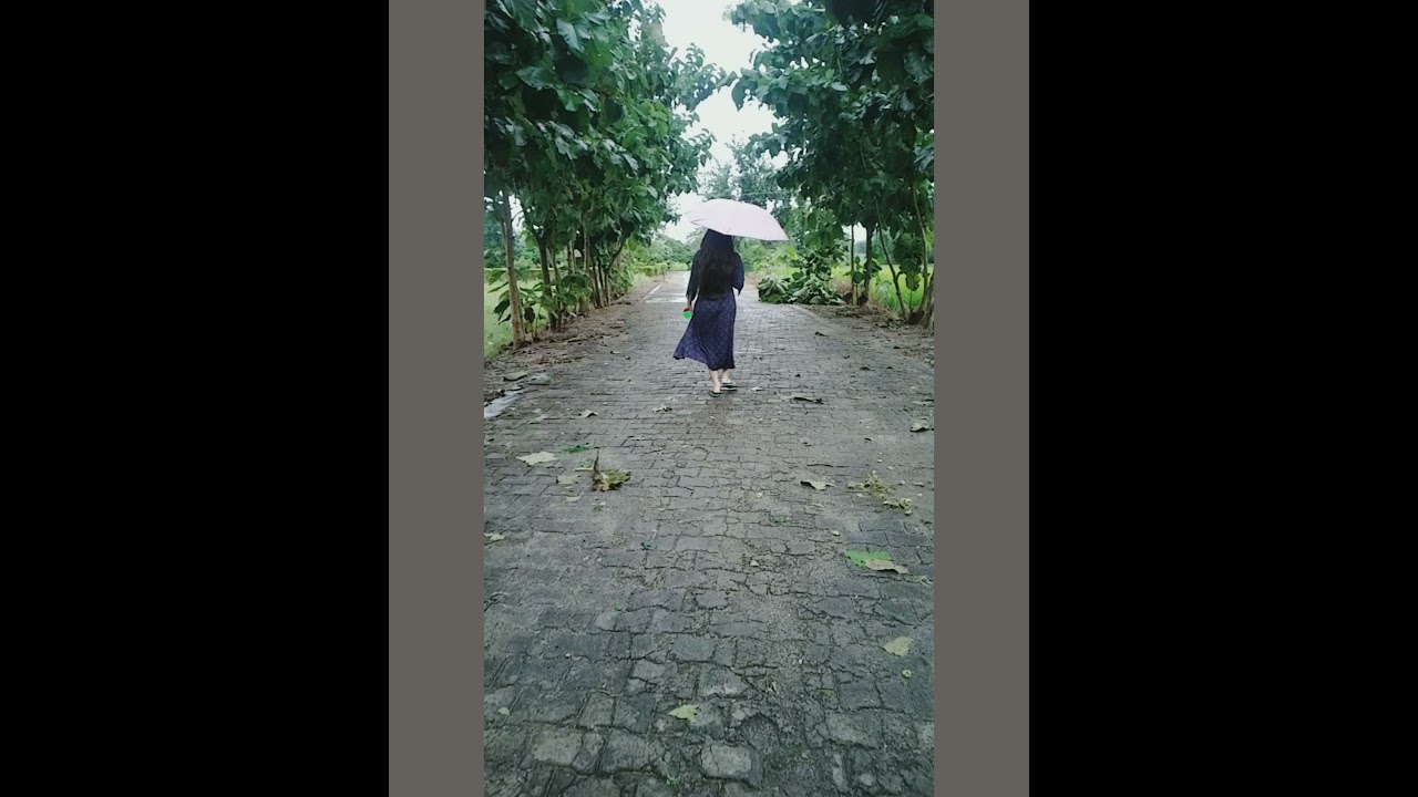 Saiyaan Medley #rainyday_Slow-motion. #refreshing #homemade #greenerearth #tree
